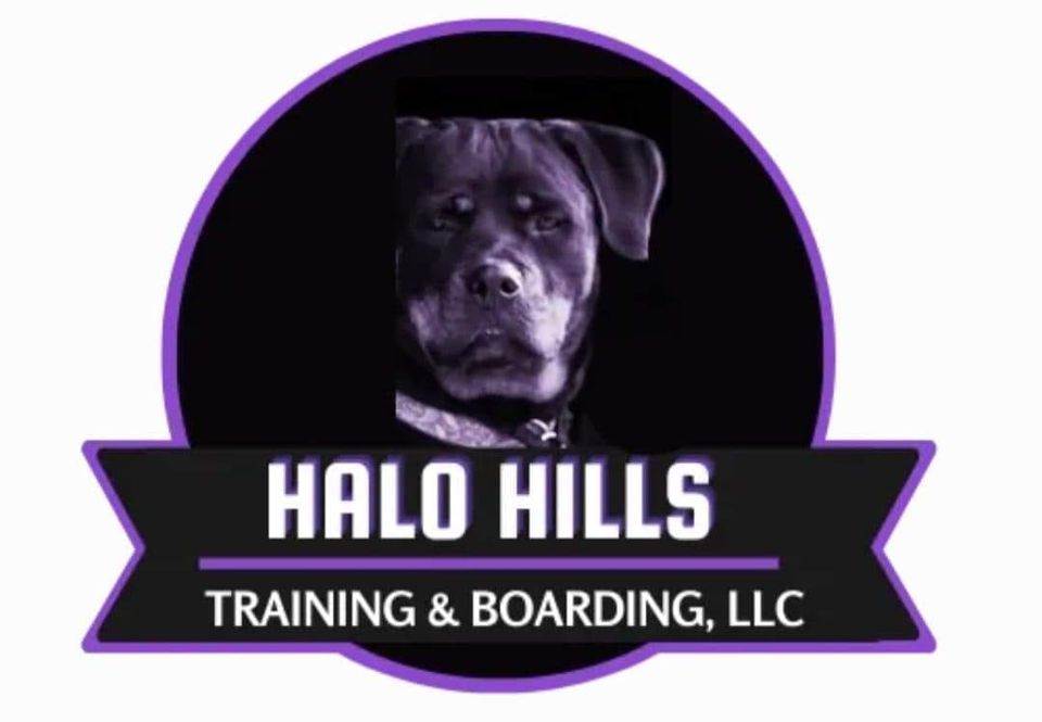 Halo Hills Training and Boarding LLC